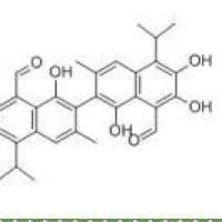 醋酸棉酚12542-36-8折扣