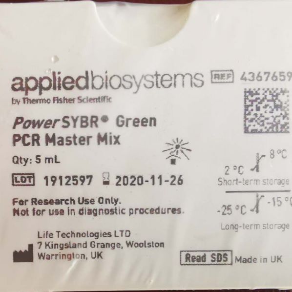 Power SYBR™ Green PCR Master Mix4367659