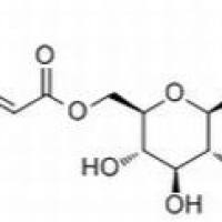 136172-60-6/	 6-O-咖啡酰基熊果甙,分析标准品,HPLC≥95%
