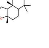 香紫苏内酯564-20-5折扣