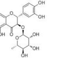 落妇新苷29838-67-3包装