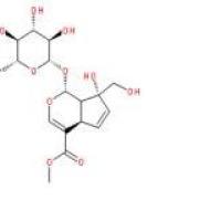 山栀子苷B24512-62-7包装