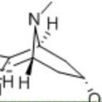 东莨菪醇498-45-3价格