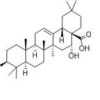 刺囊酸510-30-5厂家