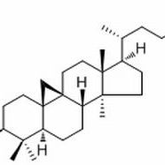 1259-94-5/ 24-Methylenecycloartanol acetate,分析标准品,HPLC≥98%