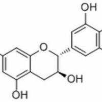 970-73-0/	 Gallocatechin.	分析标准品,HPLC≥98%