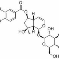 124168-04-3/ 6-O-香草酰基筋骨草醇,分析标准品,HPLC≥98%