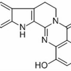 53600-24-1/ 1-Hydroxyrutaecarpine,分析标准品,HPLC≥97%产品图
