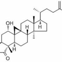 63543-52-2. 24,25-Epoxydammar-20(21)-en-3-one,分析标准品,HPLC≥98%