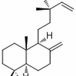 1438-62-6. 13-Epimanool ,分析标准品,HPLC≥98%