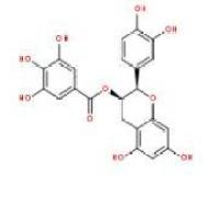平贝碱丙128585-96-6厂家