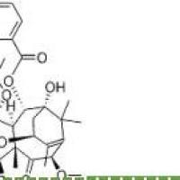7,10-二甲氧基-10-DAB III183133-94-0折扣