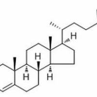 1058-61-3/	 Sitostenone ,析标准品,HPLC≥96%