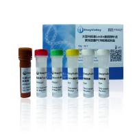 大豆内标准Lectin基因探针法荧光定量PCR检测试剂盒   