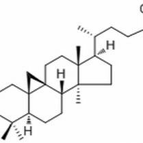 10388-48-4/ 25-环木菠萝烯-3,24-二醇，分析标准品,HPLC≥98%