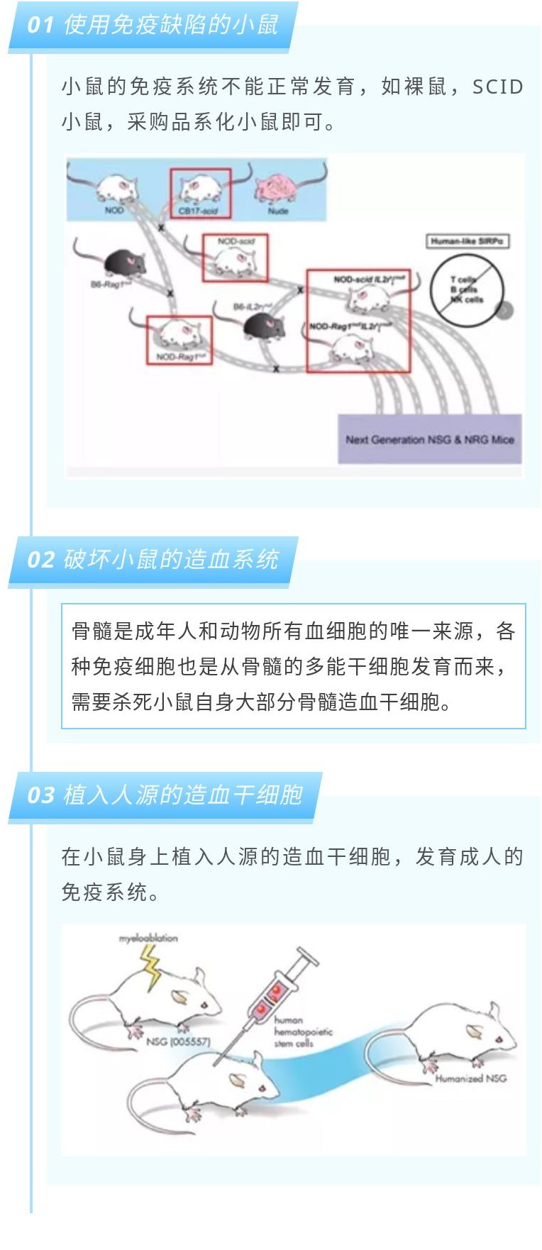 新闻图片2