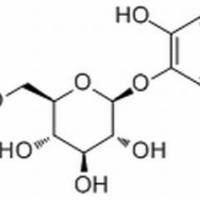 2400-71-7/	 Pyrocatechol monoglucoside .分析标准品,HPLC≥98%