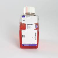 LIFE 21103-049 Neurobasal Medium 500ML