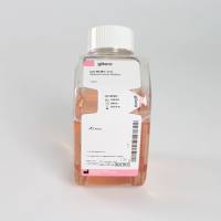 LIFE 31985-070 Opti-MEM I Reduced Serum Medium