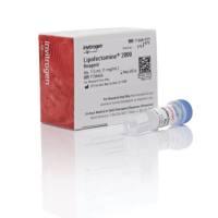 LIFE 11668-019 Lipofectamine 2000，1.5ML