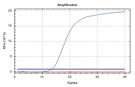 猪细环病毒(猪托克特诺病毒)探针法PCR试剂盒