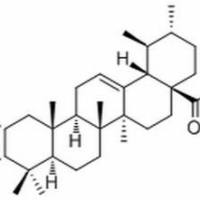 52213-27-1.	 3-Epicorosolic acid,分析标准品,HPLC≥96%