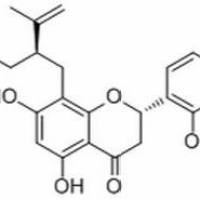 97938-30-2/	 槐黄烷酮G.分析标准品,HPLC≥98%