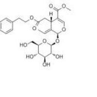 橄榄苦苷32619-42-4包装