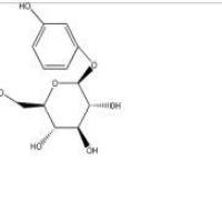 熊果苷497-76-7厂家