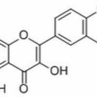 94805-83-1/ Isolicoflavonol, 分析标准品,HPLC≥98%