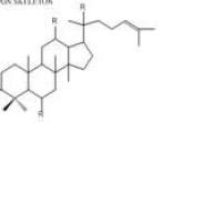 三七总皂苷折扣