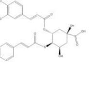 异绿原酸B14534-61-3折扣