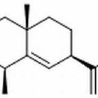 185821-32-3/ 2,3-Dihydroxypterodontic acid , 分析标准品,HPLC≥98%