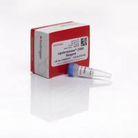 LIFE 11668-027 Lipofectamine 2000，0.75ML