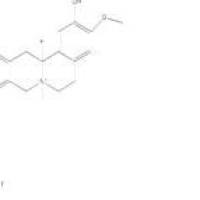 盐酸黄柏碱104112-82-5包装