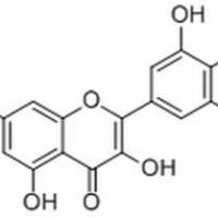 16805-10-0/	 Mearnsetin ,	分析标准品,HPLC≥97%