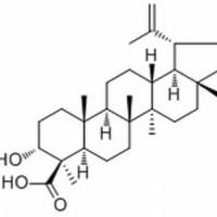 87355-32-6.Lupeolic acid ,	分析标准品,HPLC≥98%