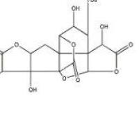 银杏内酯J107438-79-9价格