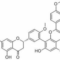 828923-27-9.2,3-Dihydroisoginkgetin ,	分析标准品,HPLC≥98%