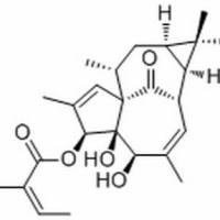 75567-38-3.	 20-Deoxyingenol 3-angelate ,	分析标准品,HPLC≥98%