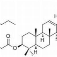 19833-13-7. Erythrodiol 3-palmitate , 分析标准品,HPLC≥98%