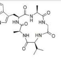 王不留行环肽B折扣