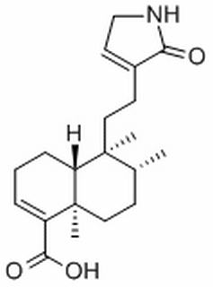 产品细节图片1