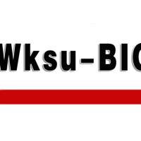 人肌钙蛋白-I肌红蛋白[联检] ( Tn-I/MYO ) ELISA试剂盒