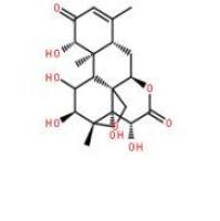 鸦胆子素D21499-66-1包装
