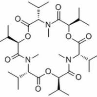 917-13-5.	 Enniatin B ,	分析标准品,HPLC≥98%