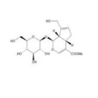 栀子苷、京尼平苷24512-63-8包装