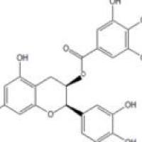 表儿茶素没食子酸酯1257-08-5包装