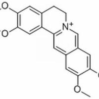 19716-66-6/假巴马汀碱 ,分析标准品,HPLC≥98%