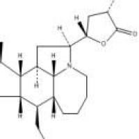 对叶百部碱折扣